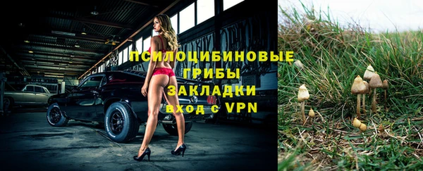 ALPHA PVP Абдулино