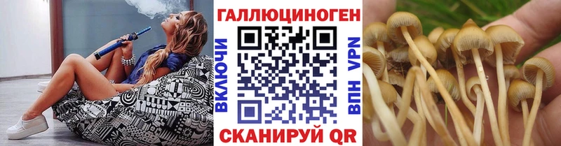 мега онион  Фурманов  Галлюциногенные грибы мицелий 