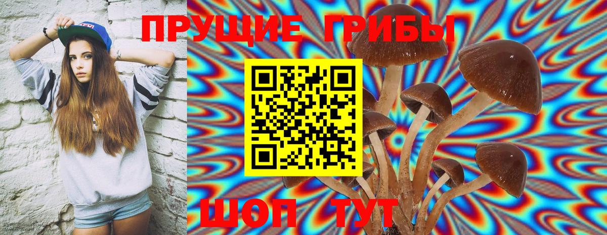 где можно купить   Псилоцибиновые грибы прущие грибы  Вход с VPN  Фурманов 