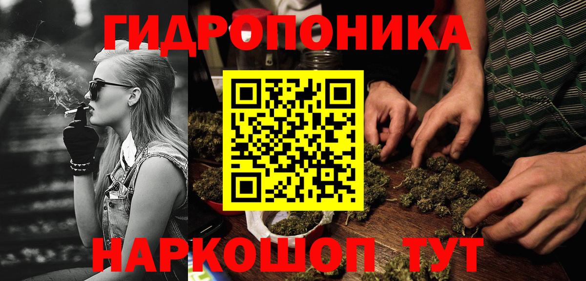Бошки Шишки семена Фурманов